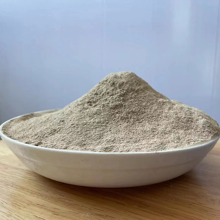 高效COD降解微生物菌種 JYSC-2