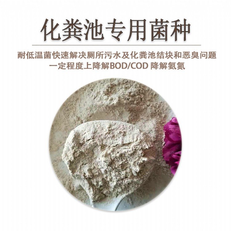 微生物除臭菌種 JYSW-01