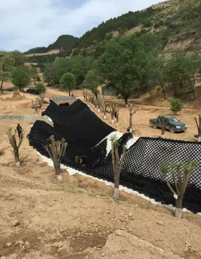 土工格室施工现场