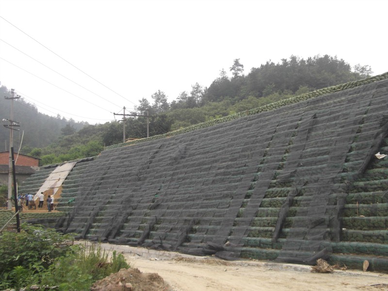 单向塑料格栅施工现场