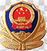 全國公安機關互聯(lián)網站安全服務平臺