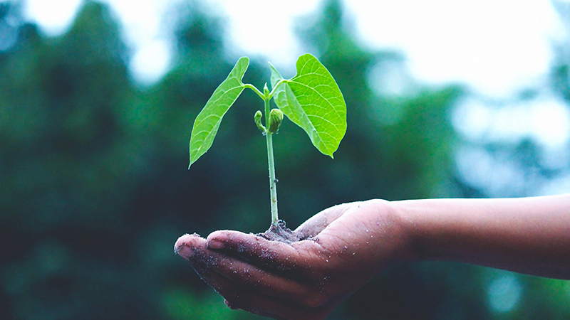 2023年浙江省生态与环境修复技术协会领军企业家、特殊贡献奖、突出贡献专家名单