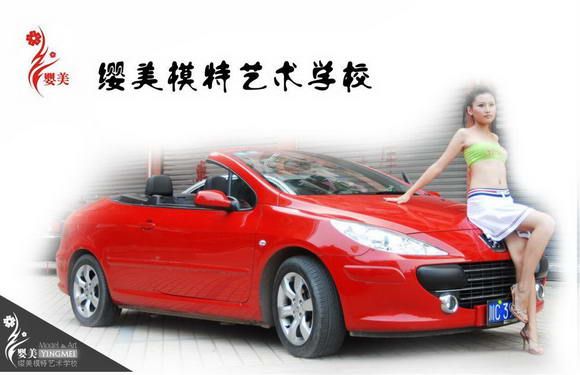 车模教学
