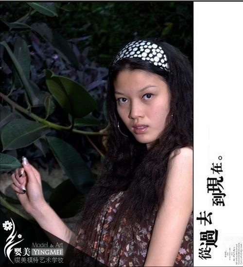接踵而来的美丽