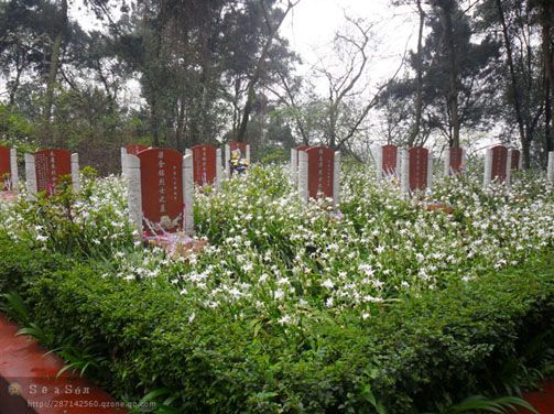 清明节扫墓