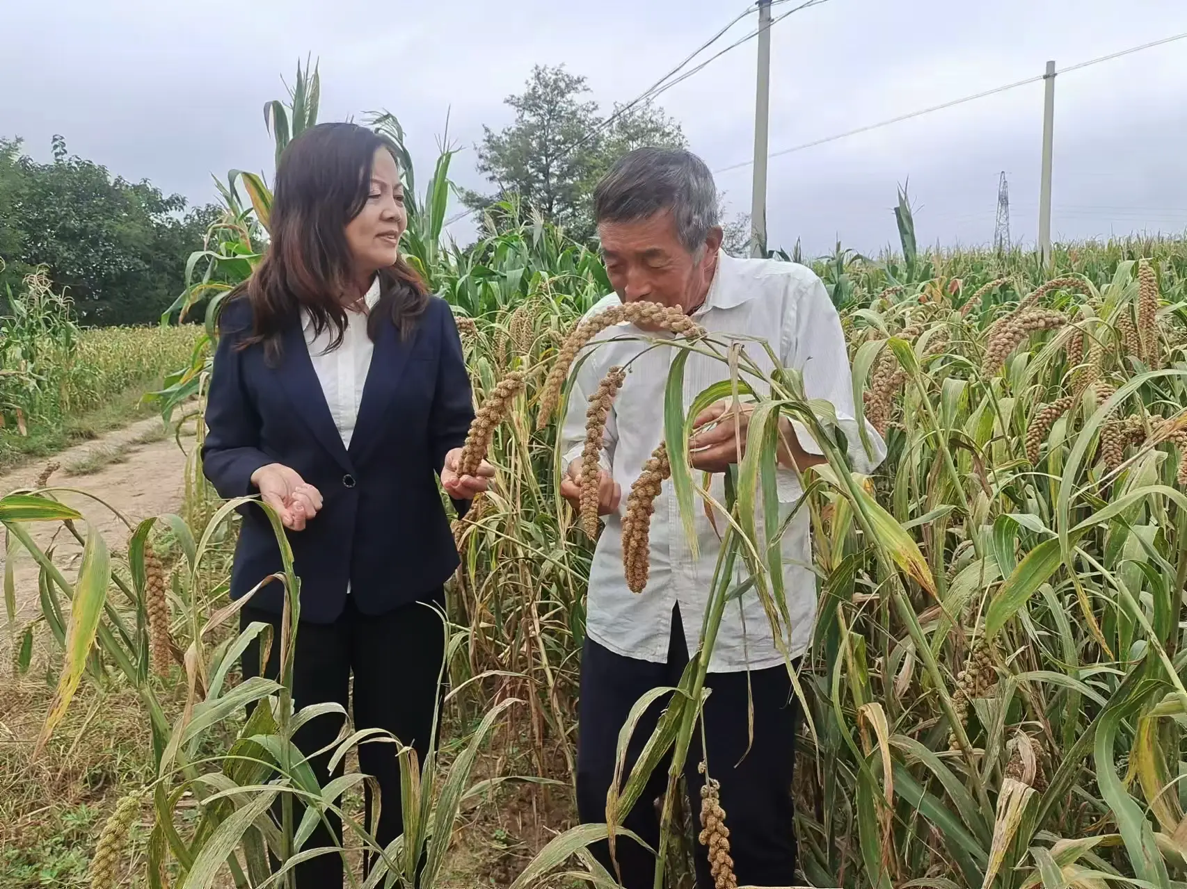 陕西：槐山脚下秧苗壮 特色兴农大“硒”望