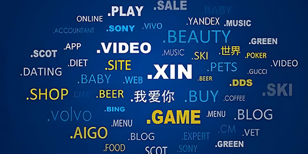 CNNIC注册局.CN/.中国不良应用域名处置规则调整通知