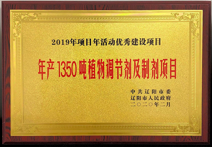 优秀建设项目
