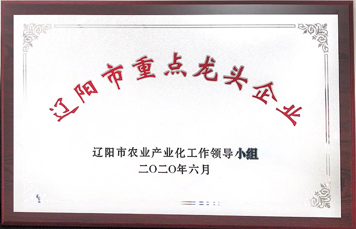 重点龙头企业