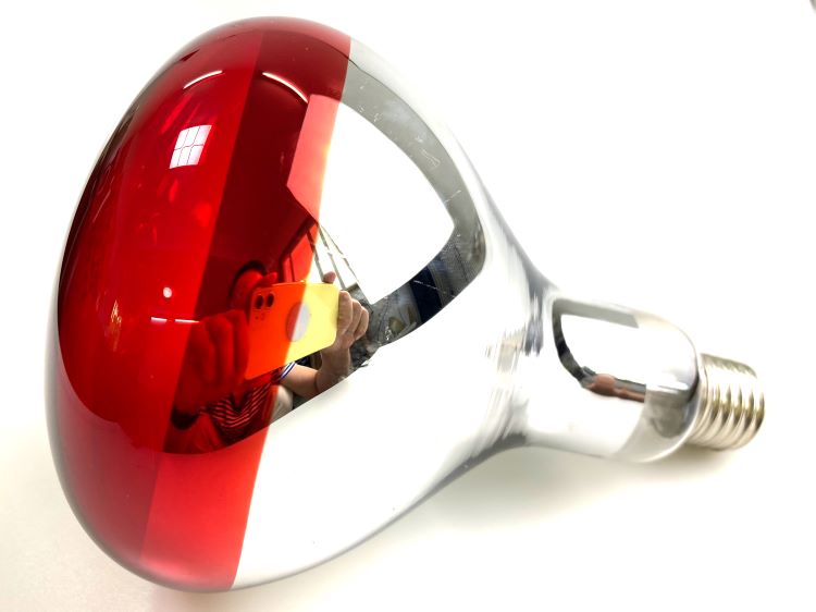 R125涂红&nbsp; Painted Red