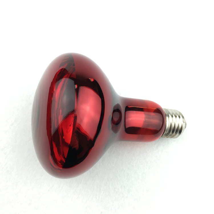 R95理疗灯泡&nbsp; Therapy Bulb