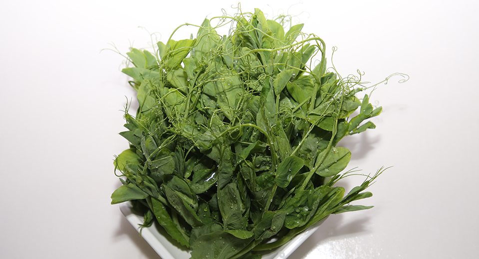 新鲜豌豆尖