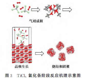 氯化法制备纳米ＴｉＯ２ 氧化机理的研究进展