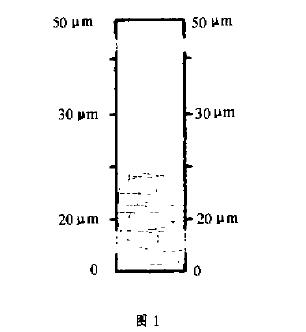 涂料研磨细度的判定及注意事项
