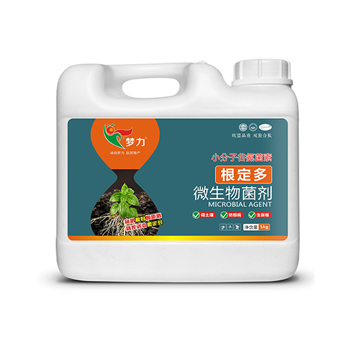 根定多