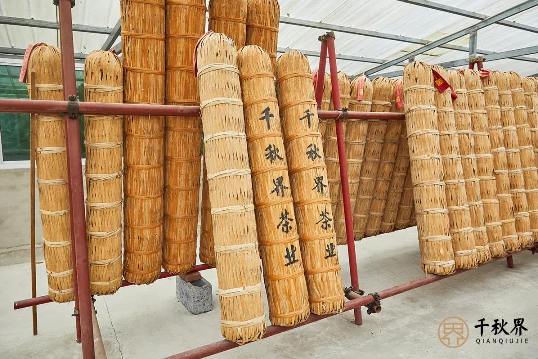 走近非遗丨一支千两茶是如何制成的？