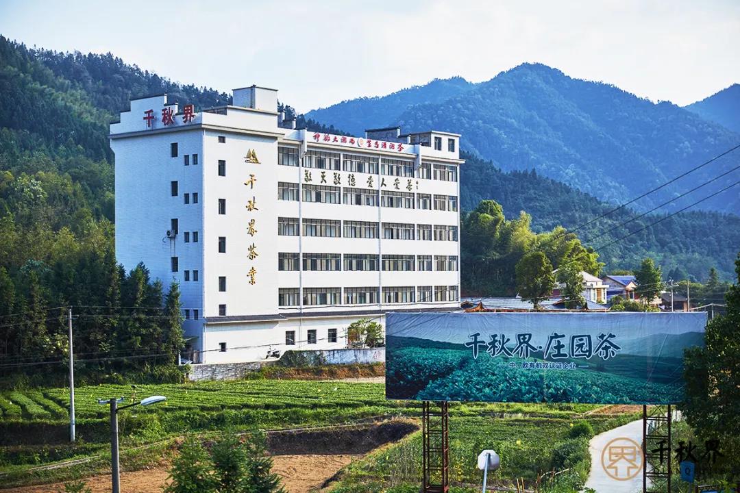 什么才是真正的庄园茶？