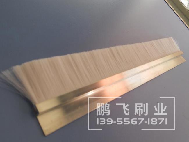 毛刷条