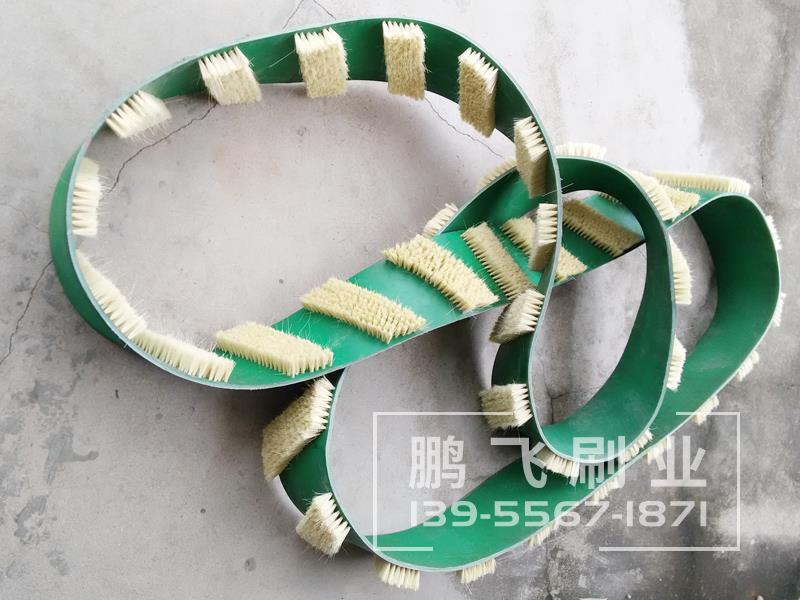 皮带毛刷