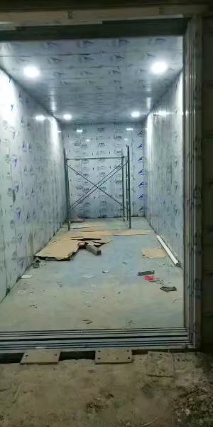 帶轎廂自動門液壓平臺