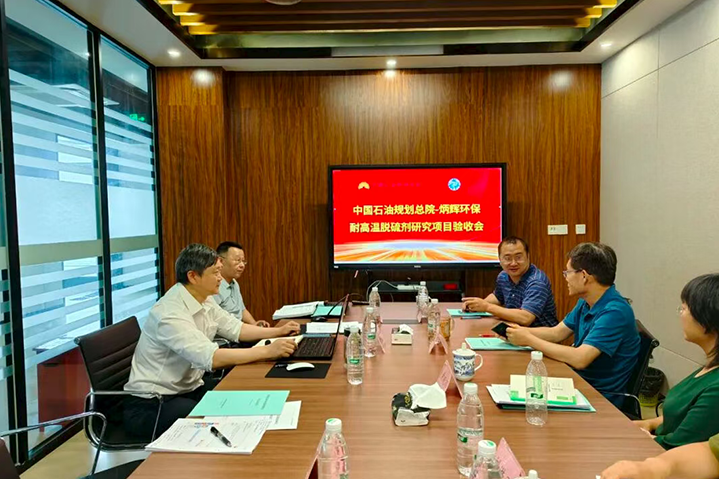 中国石油规划总院首席技术专家李庆一行验收炳辉环保公司耐高温脱硫剂研究项目