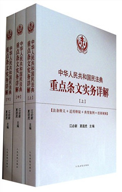 《中华人民共和国民法典重点条文实务详解(全3册)》