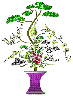 《洛城花落》
