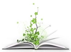 《满眼繁花:一个语文教师的成长手记》