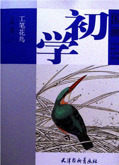《工笔花鸟》 国画初学