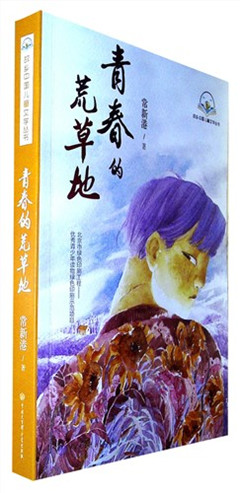 《青春的荒草地》