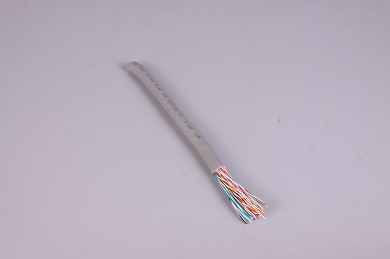 LAN CABLE  JL-3093-30P