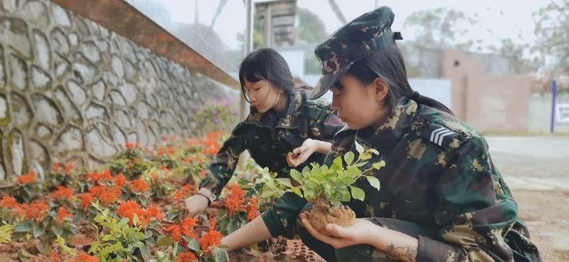 植树节 | 种下理想 追梦未来 树满校园怡人心