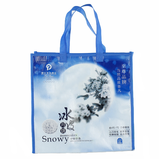 Shopping Bag