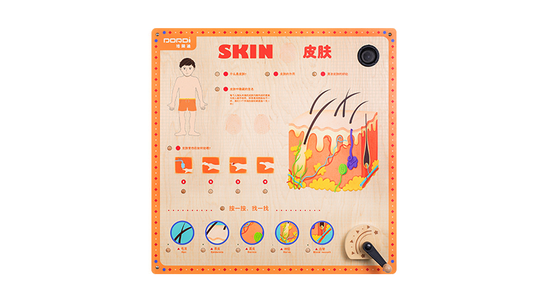 MDD-KJ-2302人体结构游戏-皮肤（售价：2850元）