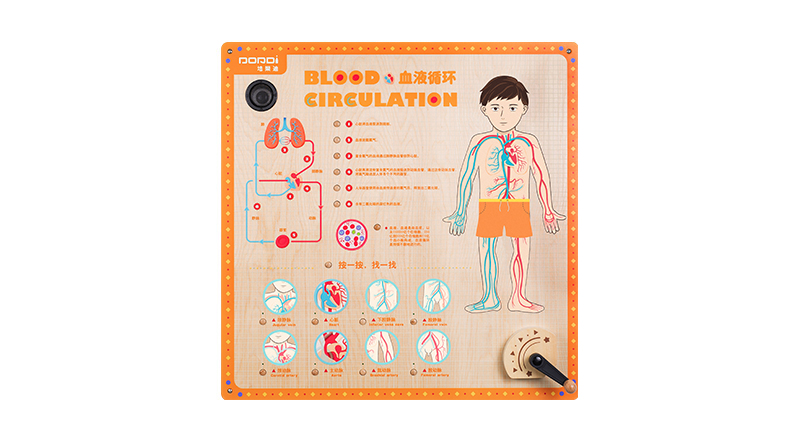 MDD-KJ-2303 人体结构游戏-血液循环（售价：2850元）