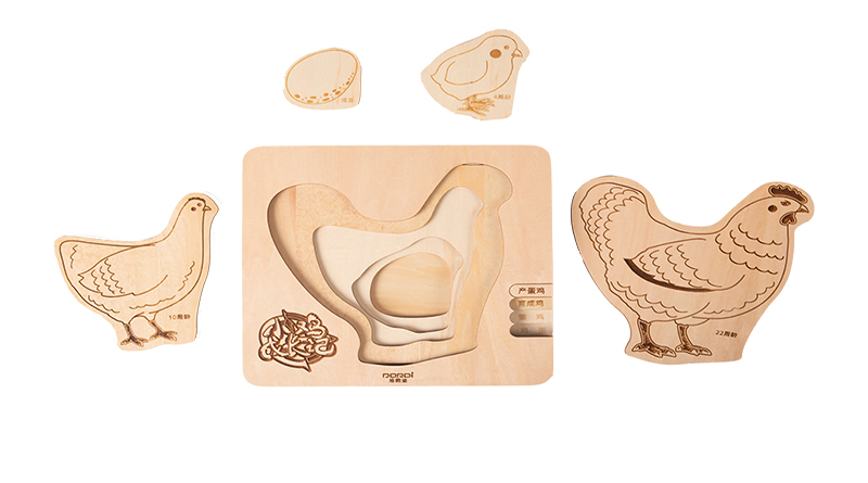 MDD-XXB-071小鸡成长记（售价：365.80元）