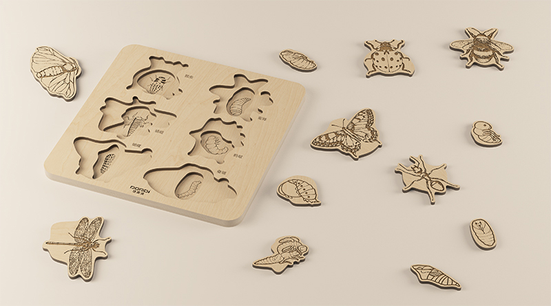 MDD-XXB-077昆虫认知游戏（售价：338元）