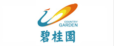 <span>碧桂园集团</span>