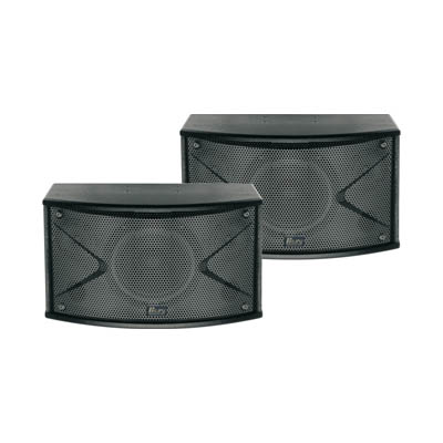 D-105   专业音箱