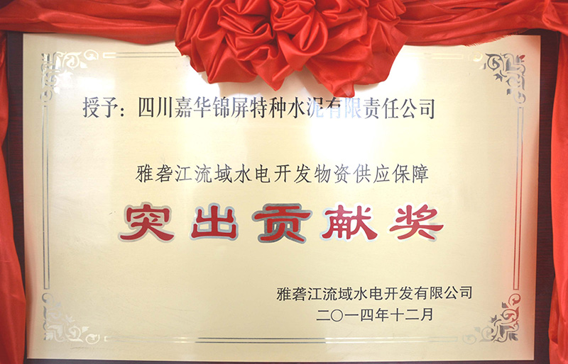 2014年度雅砻江公司突出贡献奖