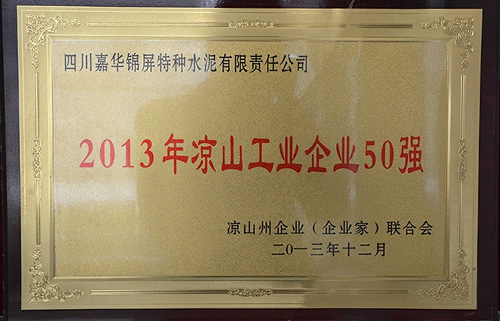 2013年凉山工业企业50强