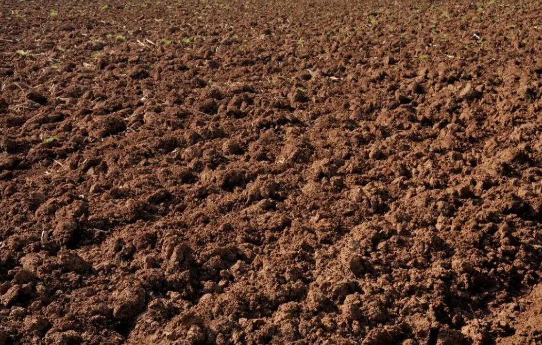 5个问题弄清土壤调理剂,实用！