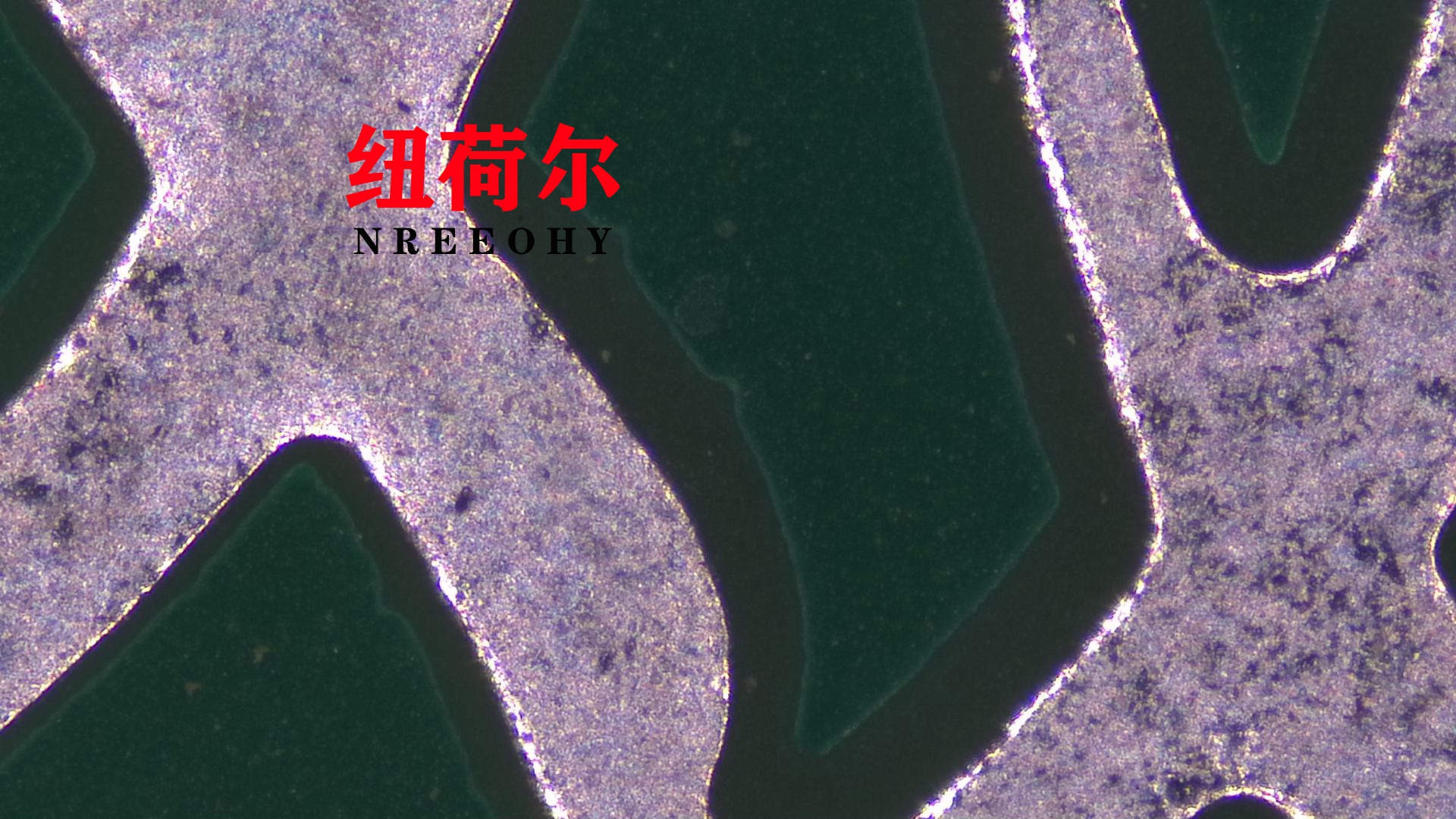 纽荷尔电子显微镜的原理及在相机镜头制造过程中的应用