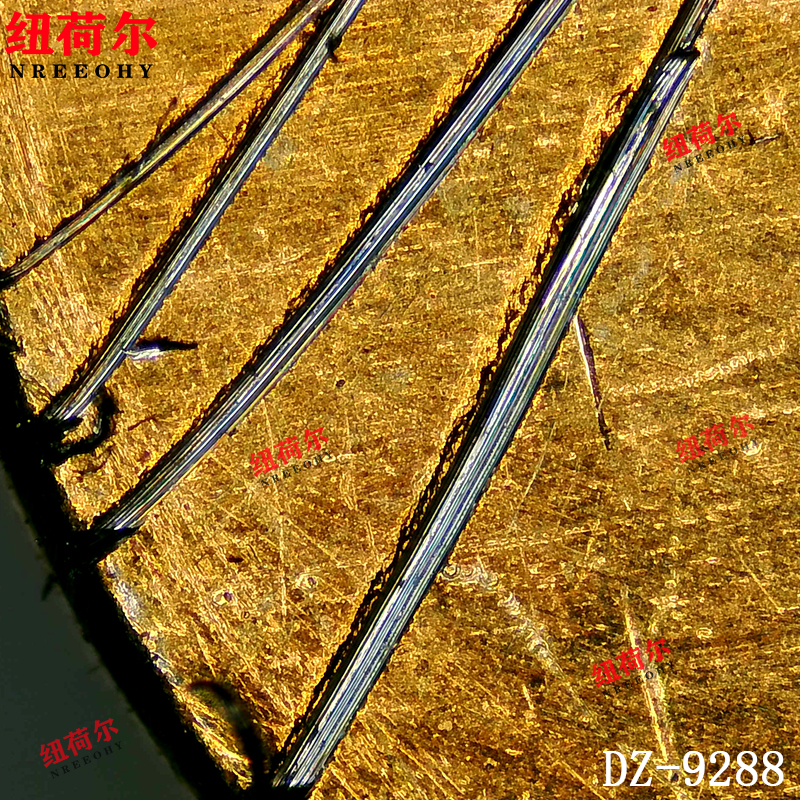 电子视频高清工业显微镜支持扫描景深叠加视野图像拼接高级功能DZ-9288