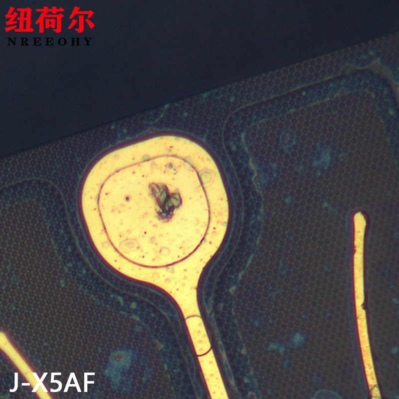自动对焦超长工作距离研究级高分辨率金相显微镜J-X5AF高性能显微系统显微镜配套千分尺