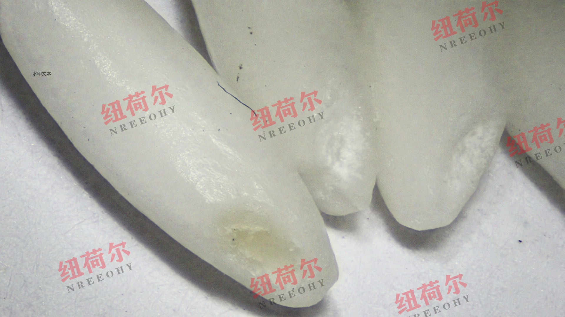 纽荷尔显微镜：开启生命科学微观世界之门的钥匙