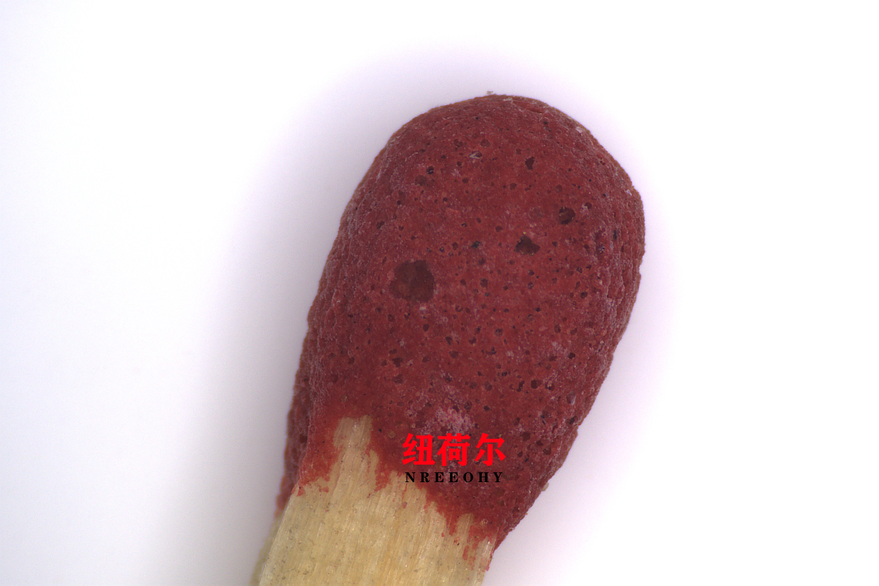 纽荷尔显微镜：微观世界的探索之眼与科技进步的关键力量