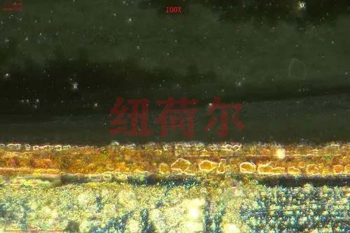 纽荷尔研究级显微镜其品控的工作流程