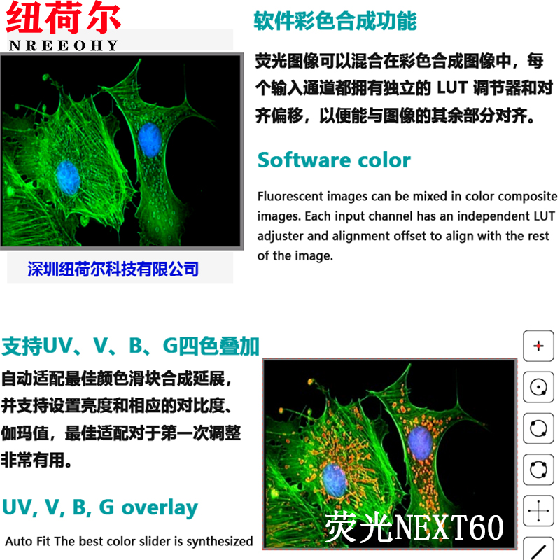 荧光显微镜NEXT60支持四色荧光观察合成投影测量图像拍照硬盘储存NEXT60