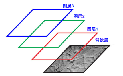 纽荷尔显微镜ImageView图层